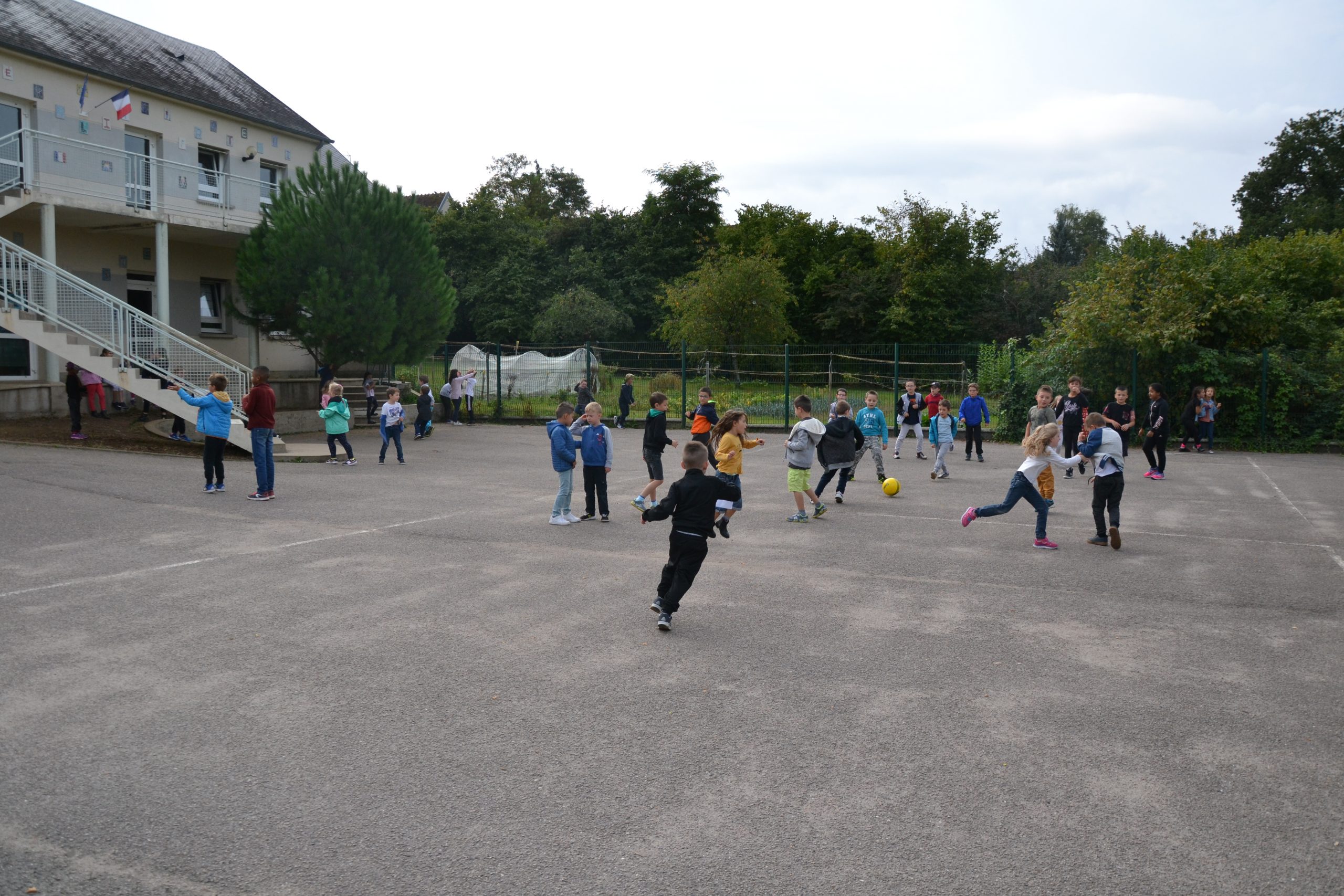 Ecole élémentaire