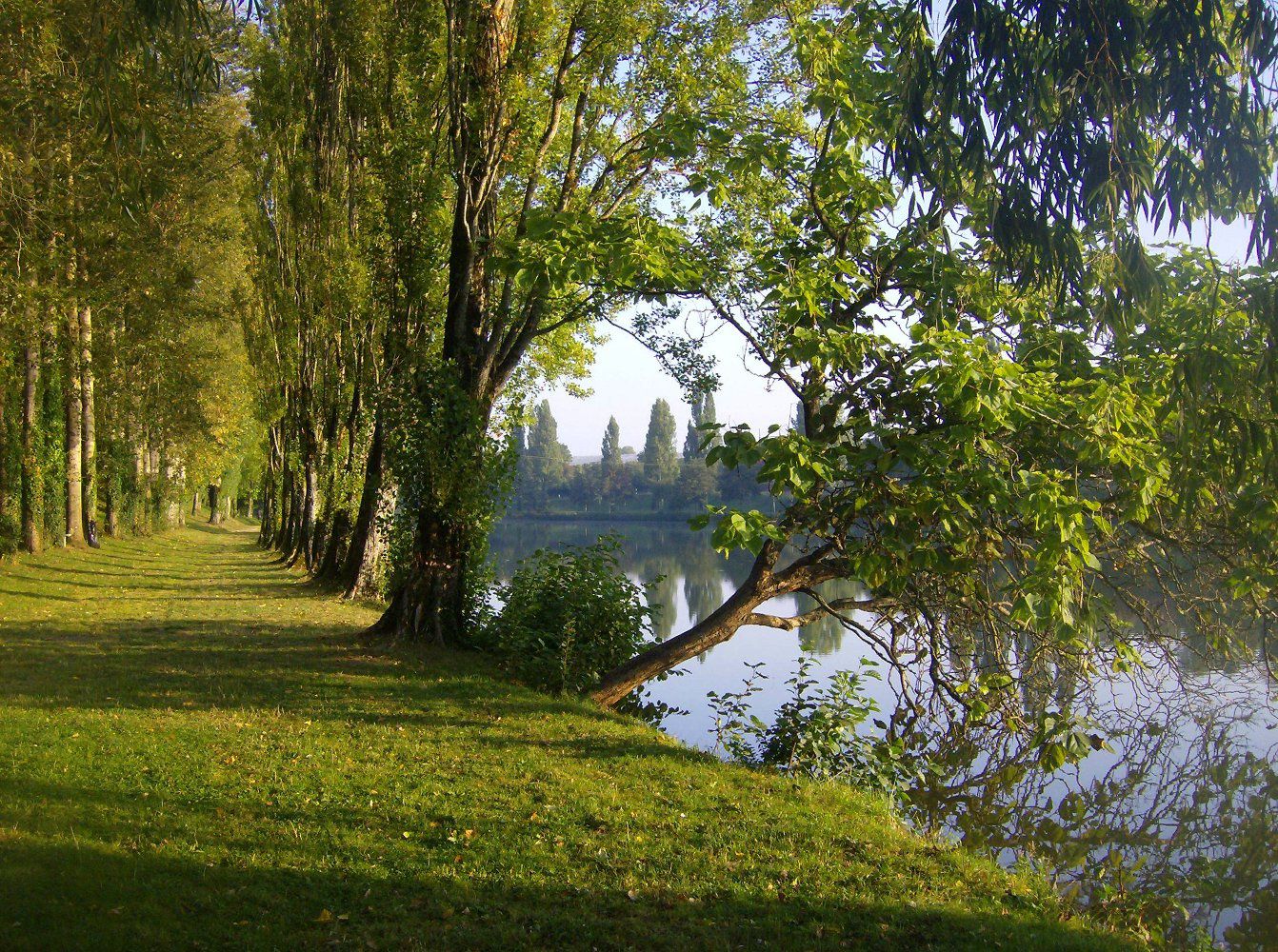 L'étang de la Salle Saint Martin d'Auxigny (18)