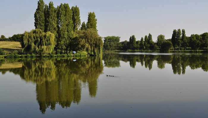 Pêcher à Saint Martin d’Auxigny