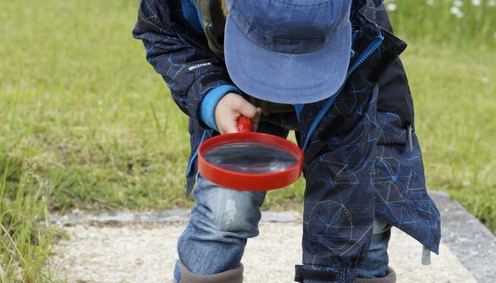 Animations nature pour les écoliers