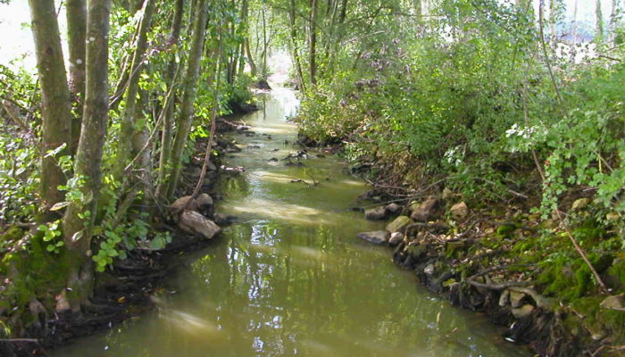 [SIVY] – Consultation sur les milieux aquatiques du 22 juin au 18 juillet