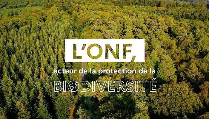 Plan de circulation en Forêt domaniale d’Allogny au 1er janvier 2023