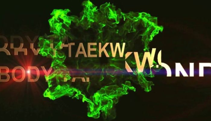 Bodytaek Fitdance