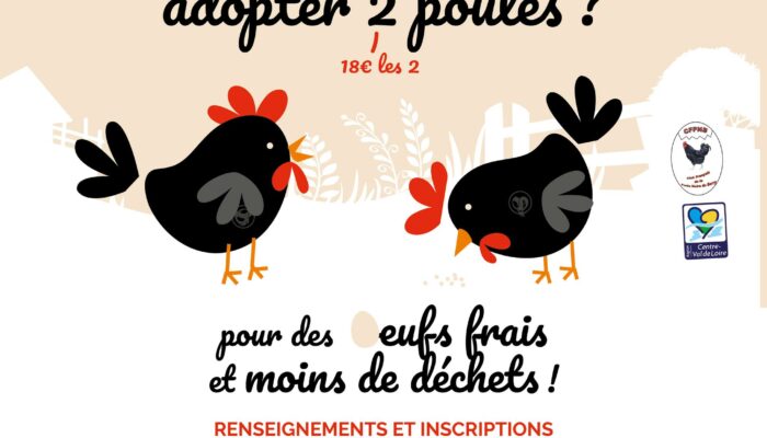 Retour de l’opération « Poules noires du Berry »