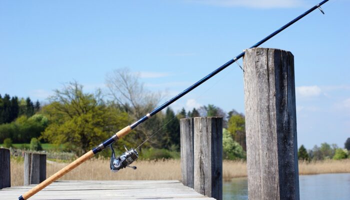 Concours de pêche au coup
