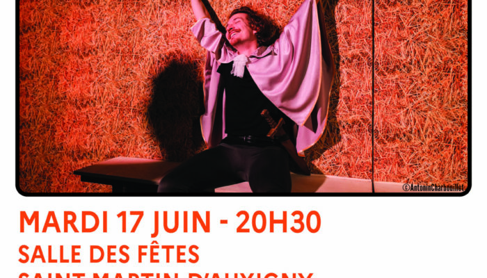 Saison culturelle 2025 : Les Romanesques