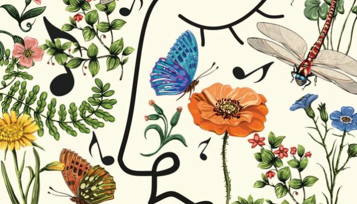 Musical’été, le festival de musique en Terres du Haut Berry