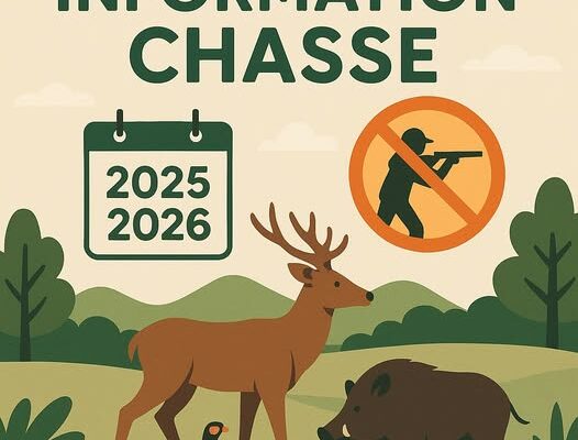 Saison de chasse 2025 2026
